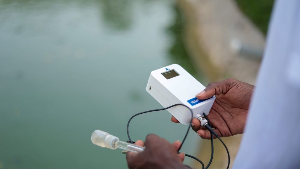 2025_frank_1f9a9159 2025_frank_1f9a9159